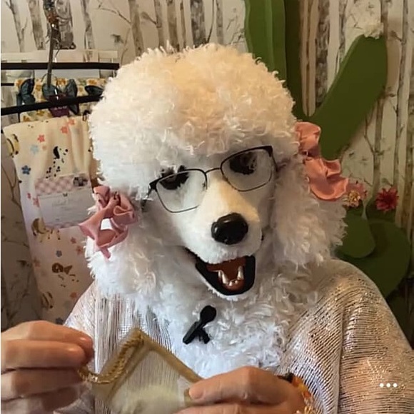 Live Show Monday November 24 3:00pm EST XL-4X POSITIVE VIBES PLUS SIZE FUN GIFTS - Picture 7 of 16